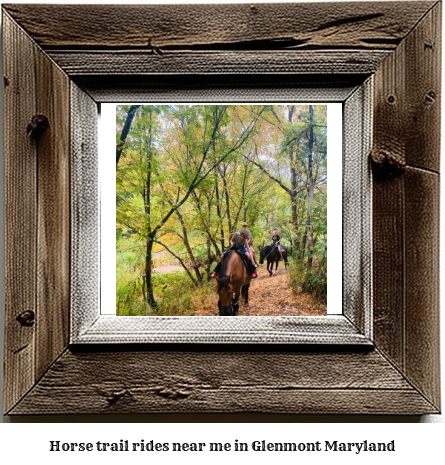 horse trail rides near me in Glenmont, Maryland